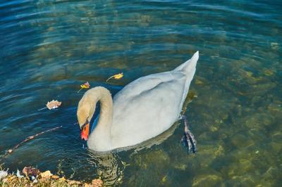 Прикрепленное изображение: DSC04210-1.jpg